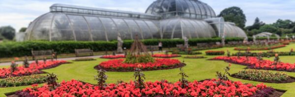Jardim Botânico Real de Kew Antes