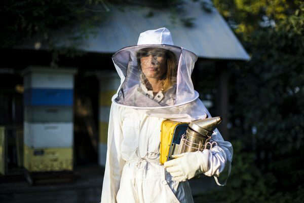 Como dominar a arte da apicultura