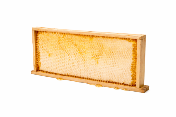 Quadro inteiro de Favo de Mel (2KG)