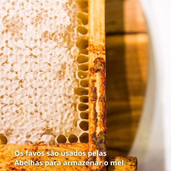 Favo de mel